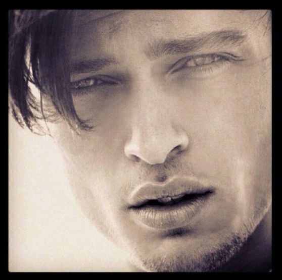 Harvey Newton Haydon